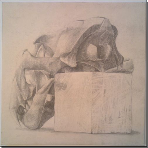 Löwenschädel Löwenschädel